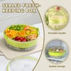 Fruit Ice Divided Serving Tray with Lid and handle,Chilled Veggie