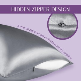 Olesilk 100% Silk Pillow Case / Pillow Cover, Gentle on Hair and Skin, with Concealed Zip, 19 Momme, 1 Item