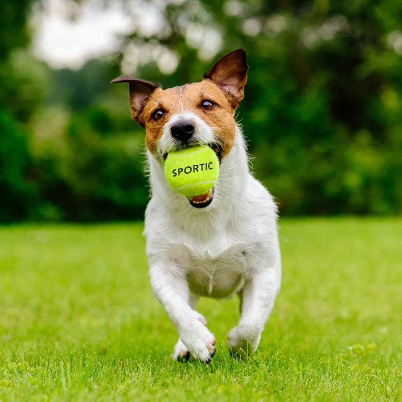 SPORTIC 4 PCS Tennis Balls,High Bounce Practice Tennis Balls with