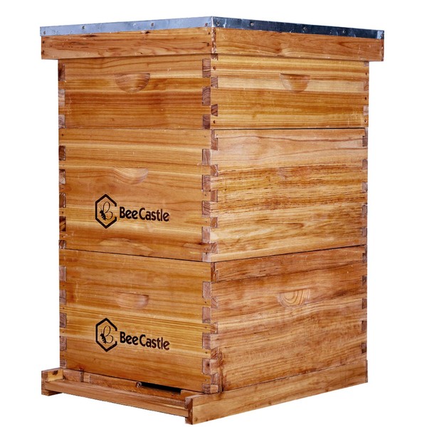 BeeCastle 10 Frame Langstroth Bee Hive Coated with 100% Beeswax Includes Beehive Frames and Waxed Foundations (2 Deep Boxes & 1 Medium Box)