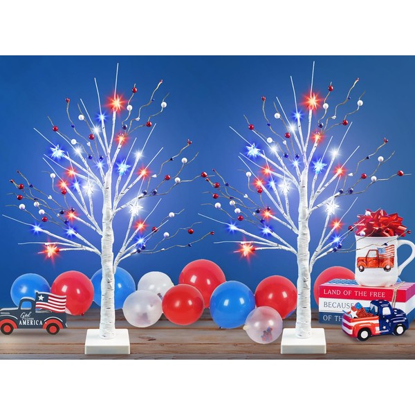 Ruidazon 24" 4th of July Decoration, Lighted Patriotic Tree with