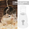 POPETPOP Home Water Dispenser Hamster Water Bottle with Stand Small