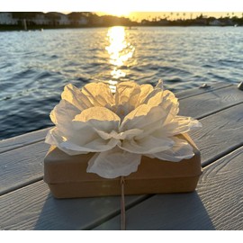 Biodegradable Urn for Water and Ground Burial – Small (Infant) | Eco-Casting Material | Includes Ashes Bag, Dried Flower Confetti & QR Certificate – Beige