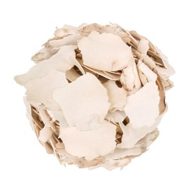 Fresh Herbs Domestic White Poria 100g Dried Poria Tea Ingredients
