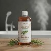 2 Shampoo De Romero 100 Orgánico Sin Parabenos Ni Sal