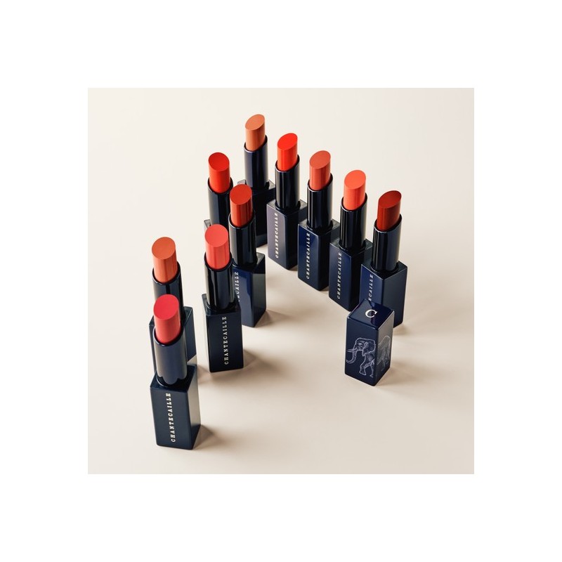Chantecaille Lip Veil 2.5g - Moabi / 샹테카이 립 베일