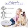Flea Trap Dome USB Non Toxic Safe Odorless Natural Flea
