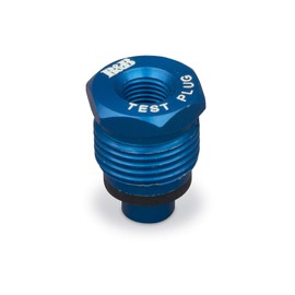 Thetford|B&B Molders RV Replacement Parts and Accessories RV Camper City Water Test Check Valve Plug PN 94192, Blue