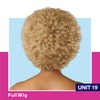 Sensationnel Dashly Wig - Unit 19 Non Lace Cap Ready