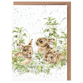 Wrendale Designs Greeting Card - SPRING HARES (Baby Bunnies)