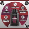 Leviathan Nutrition Kidney Support with Astragaloside IV | Optimal Kidney
