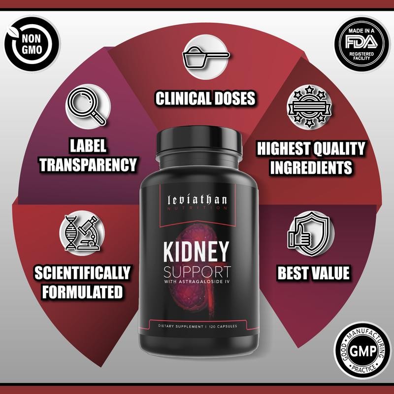 Leviathan Nutrition Kidney Support with Astragaloside IV | Optimal Kidney