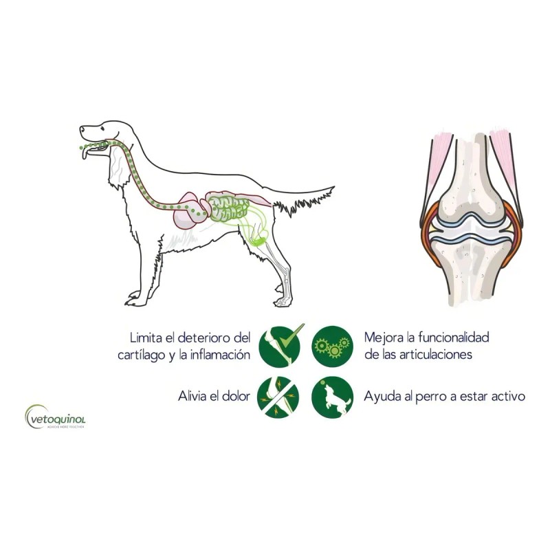 Flexadin Advanced Vetoquinol Premios Masticables Perro/Gato 60 Unidades