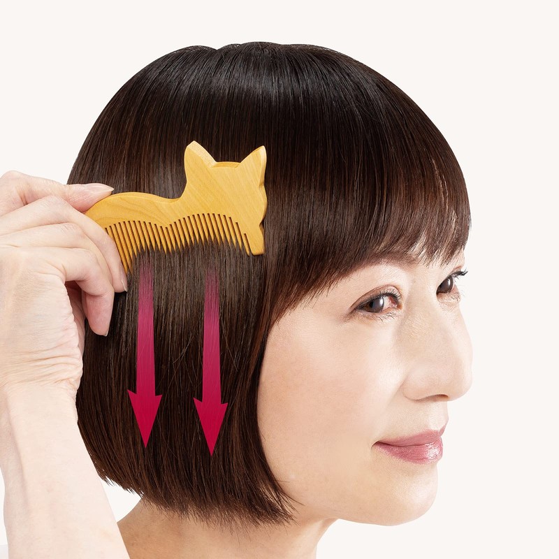 Cat Style Comb (without Storage Bag) Camellia Oil, Beautiful Hair