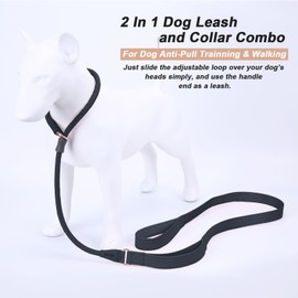 Slip Lead Dog Leash, Dog Training Leash with Double Handle, Soft Leather Nylon Slip Leash and Collar, Heavy Duty Rope Dog Lead, No Pull Walking Leash for Medium Large Small Dogs 5ft Black