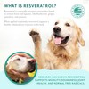 PetThrive Dog Hip and Joint Support Supplement Soft Chews with