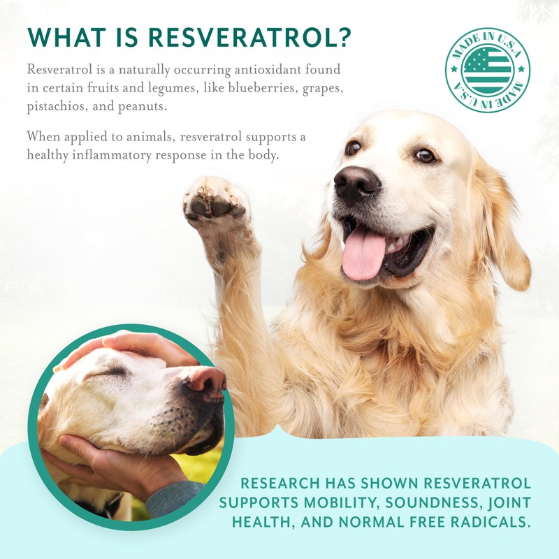 PetThrive Dog Hip and Joint Support Supplement Soft Chews with