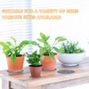 24 PCS Absorbent Waterproof Plant Coasters mat,4 Size 4/6/ 8/10