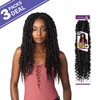 MULTI PACK DEALS! Sensationnel Crochet Braids Lulutress Passion Twist 18"