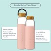 Full Circle V.2 17 oz. Glass Water Bottle - Blush