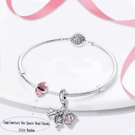 LNQOBU 925 Sterling Silver Charms for Bracelets and Turtle Charm Music Charms Beads Jewellery Gift for Women Girls, Sterling Silver Cubic Zirconia, Cubic Zirconia