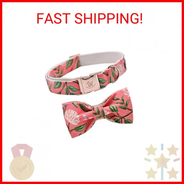 Elegant little tail Dog Collar with Bow, Cotton & Webbing,