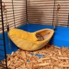DQITJ 2 Pack Sugar Glider Bed House Hamster Banana Warm