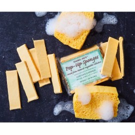Trader Joes NEW TRADER JOES 12 Pop-Up Sponges Natural Compostable Sponge FREE SHIPPING Great