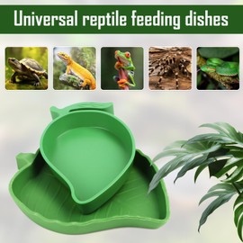 4 Stück Schildkröten zubehör Wasserschale Reptilien Futter Wasser Schüssel Näpfe Futterschale Blatt Flach Trinkschale Terrarien Reptilien Badebecken für Gecko Schnecken Schildkröte Kleine Haustiere