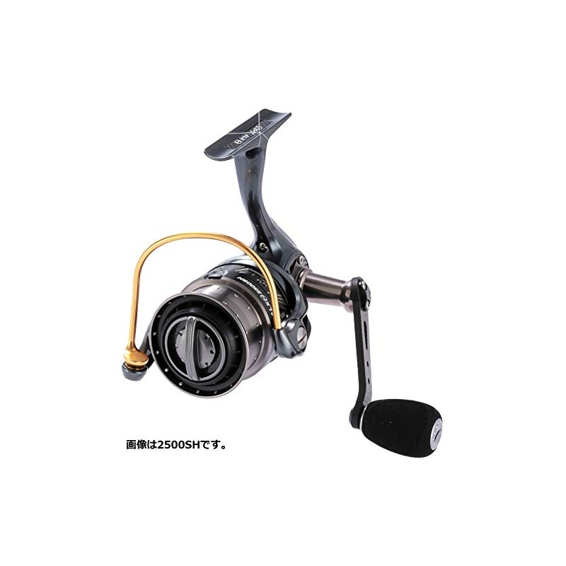 Abu Garcia (アブガルシア) Revo ALX THETA 1000S Saltwater Compatible Spinning