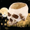 Skull Planter Key Bowl Fake 1 Piece Resin Skull Head
