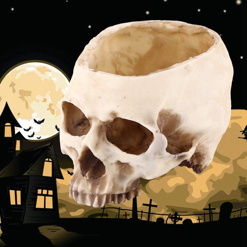 Skull Planter Key Bowl Fake 1 Piece Resin Skull Head
