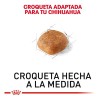 Royal Canin Chihuahua Adult 1.1 Kg Sellado