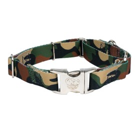 Country Brook Petz - Woodland Camo Martingale with Premium Buckle - Camouflage Collection Featuring Rugged Designs (1 Inch, Medium)
