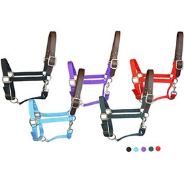 SIE Adjustable Nylon Breakaway Horse Halters (Turquoise, Full)