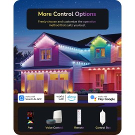 EDISHINE Smart Permanent Christmas Lights Outdoor 100FT RGBW Alexa Google Home