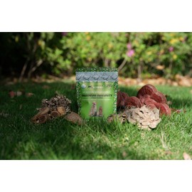 MAXIMUM IMMUNITY >25% β-glucan 100% Mushrooms Fruiting Body Extracts, Veterinarians formulation for Dogs & Cats Immune & Digestive Systems with Turkey tail & >35% β-glucan Reishi extracts.250 SERVINGS