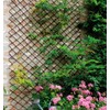 Expandable Garden Trellis Plant Support Willow Lattice Fence Panel for