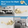 Bonpoly 3 Pack Gold Door Handles, Wave Style Entry Door
