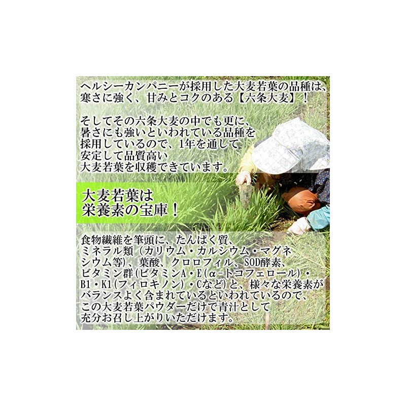 オーガニック 島根産 大麦若葉パウダー100ｇ （粉末 有機 青汁 国産）