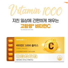 The Health High-Concentration Vitamin C 1000 10 Months / 더건강 고함량 비타민C 1000 10개월