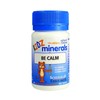 Martin & Pleasance Schuessler Tissue Salts KIDZ Minerals Be Calm Tab X 100