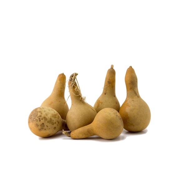 Mini Dipper Gourds for your Craft Project, Box of 25