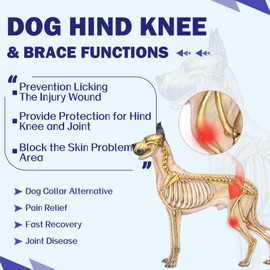 ROZKITCH Dog Surgery Recovery Sleeve Rear Right Left Leg, Pet Prevent Licking Wound Elbow Brace Protector, Dog Recovery Suit Cone Collar Alternative for Sprain ACL CCL Arthritis Joint Care Blue XL