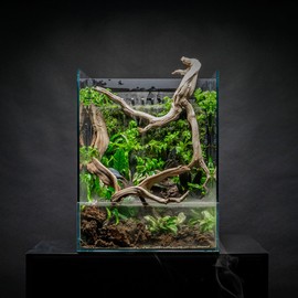 Ultum Nature Systems Foresta Line Moss Aquarium Thread - Hanging Thread & Heavy Duty String to Hang Decorations, Driftwood & Moss for Aquarium - Plant Thread for Aquariums in Green Color - 480 Meters