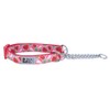 RC Pets Sporty, Durable, Functional Training Collar | Strawberries, Medium
