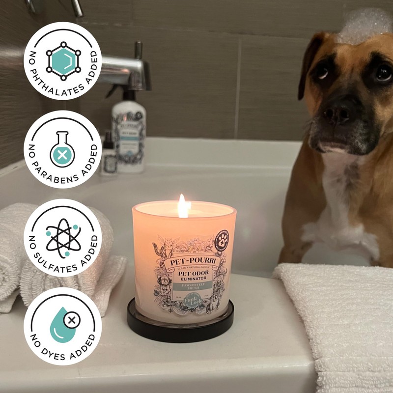 Pet-Pourri Pawsitively Fresh Pet Odor Deodorizer Candle, Burns Up to