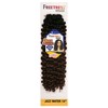MULTI-PACK DEALS! FreeTress Synthetic Hair Crochet Braids Jazz Water 12"