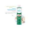 Shampoo Concentrado De Ajo 530ml Estimula Y Fortalece El Cabello