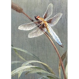 Dragonfly Tree-Free Greetings Sympathy Card